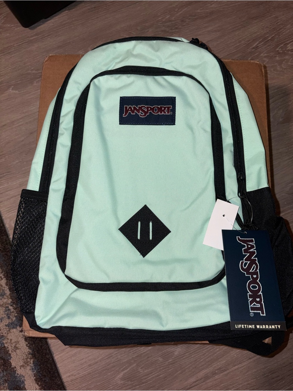 JanSport Mint Green Backpack